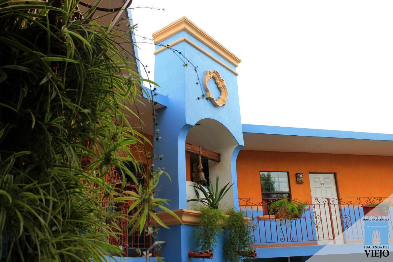 Hotel Hacienda Del Viejo Matamoros  Exterior photo
